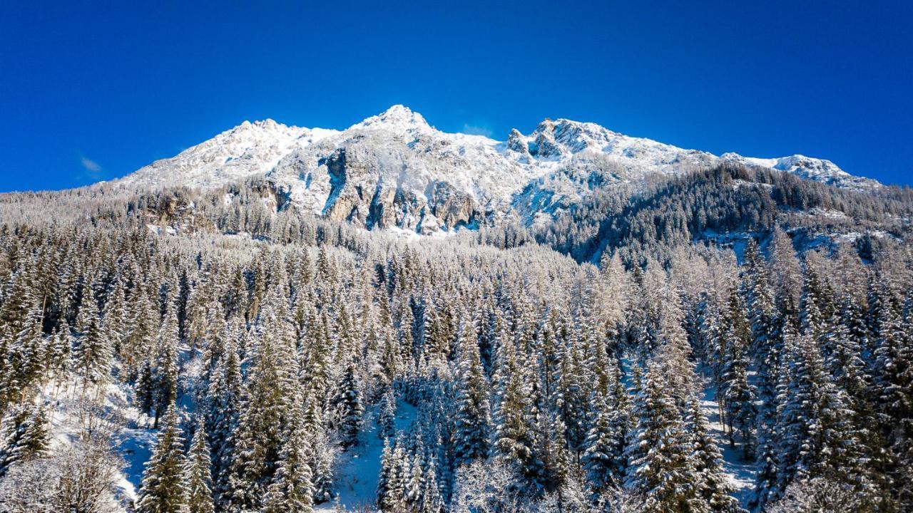 Apartmenthaus Mountainvista Kleinarl Eksteriør billede